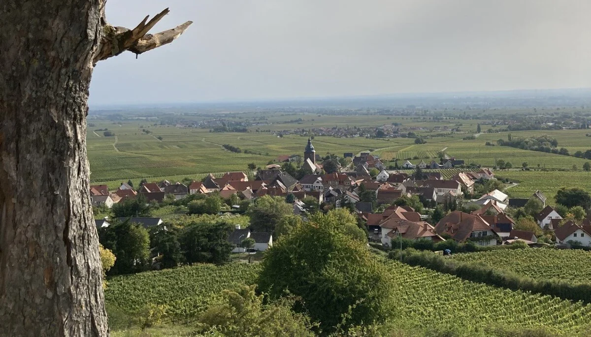 © DAV Ebingen