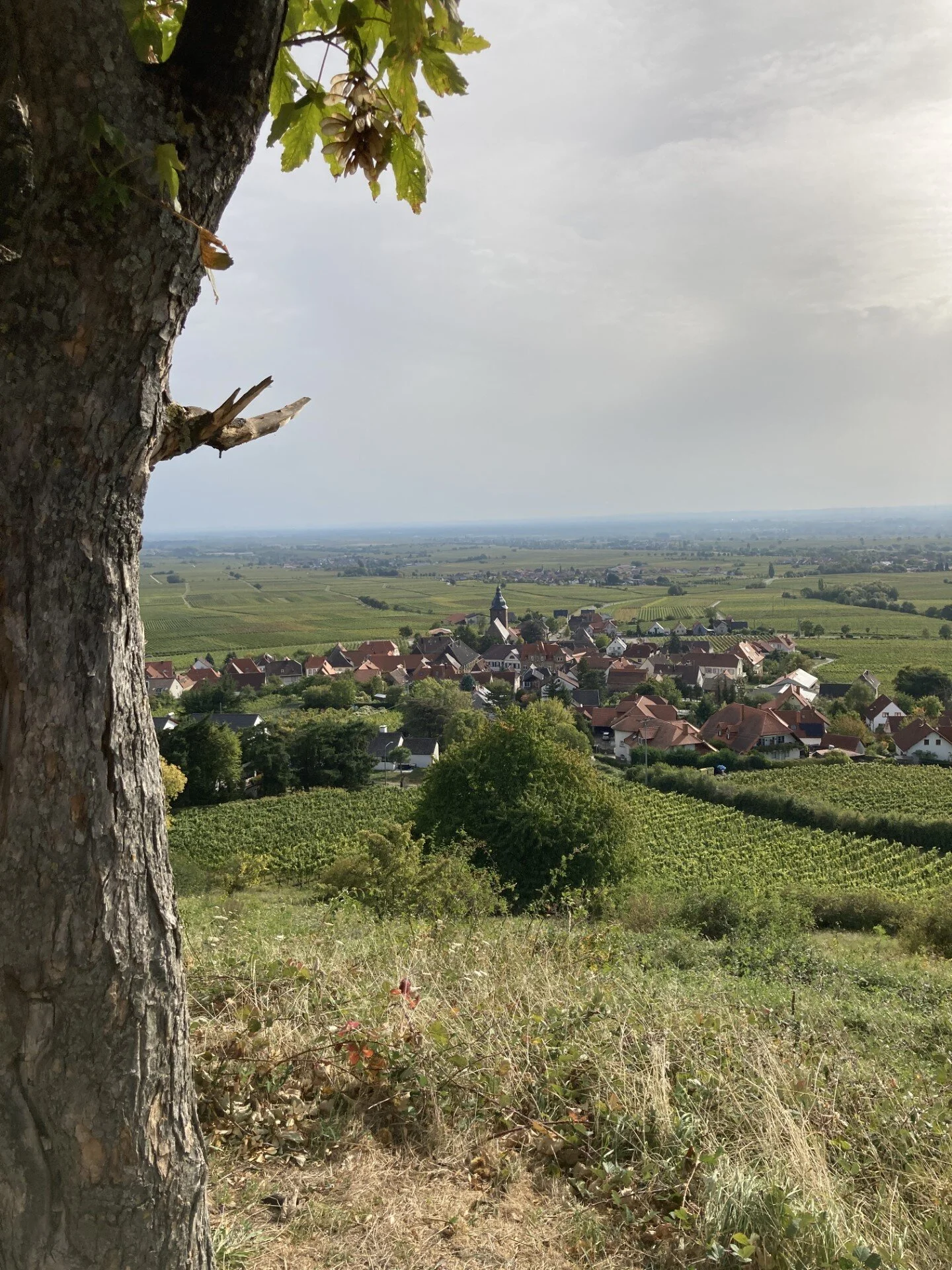 © DAV Ebingen