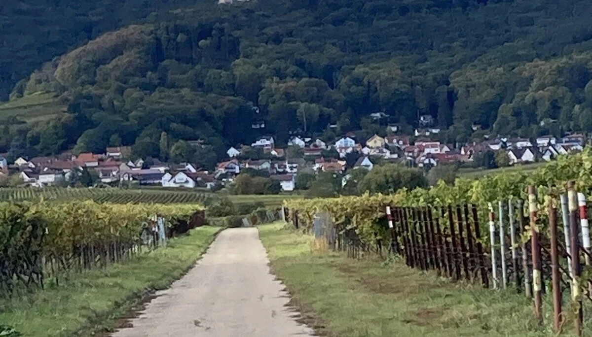 © DAV Ebingen