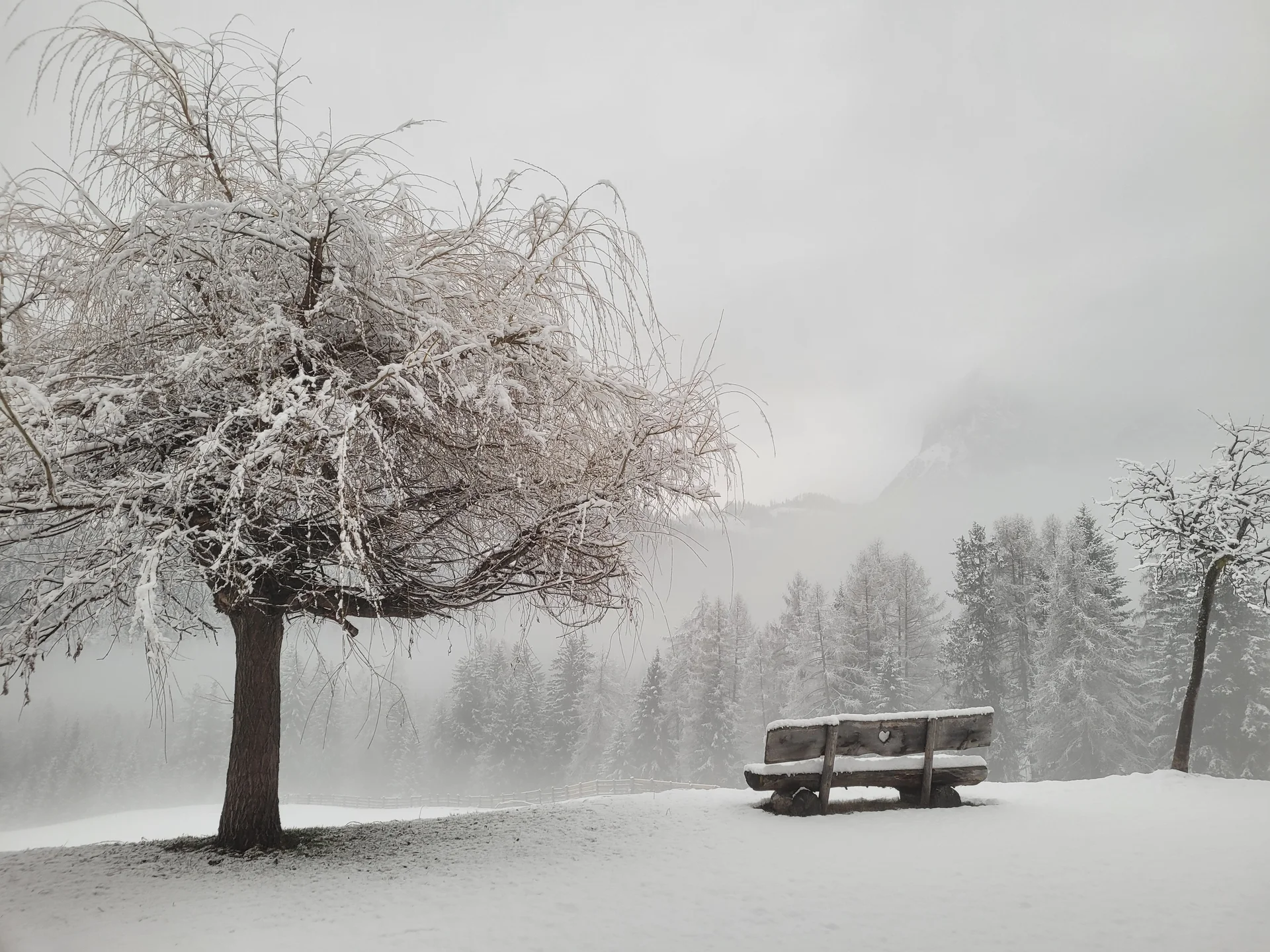 © DAV Ebingen