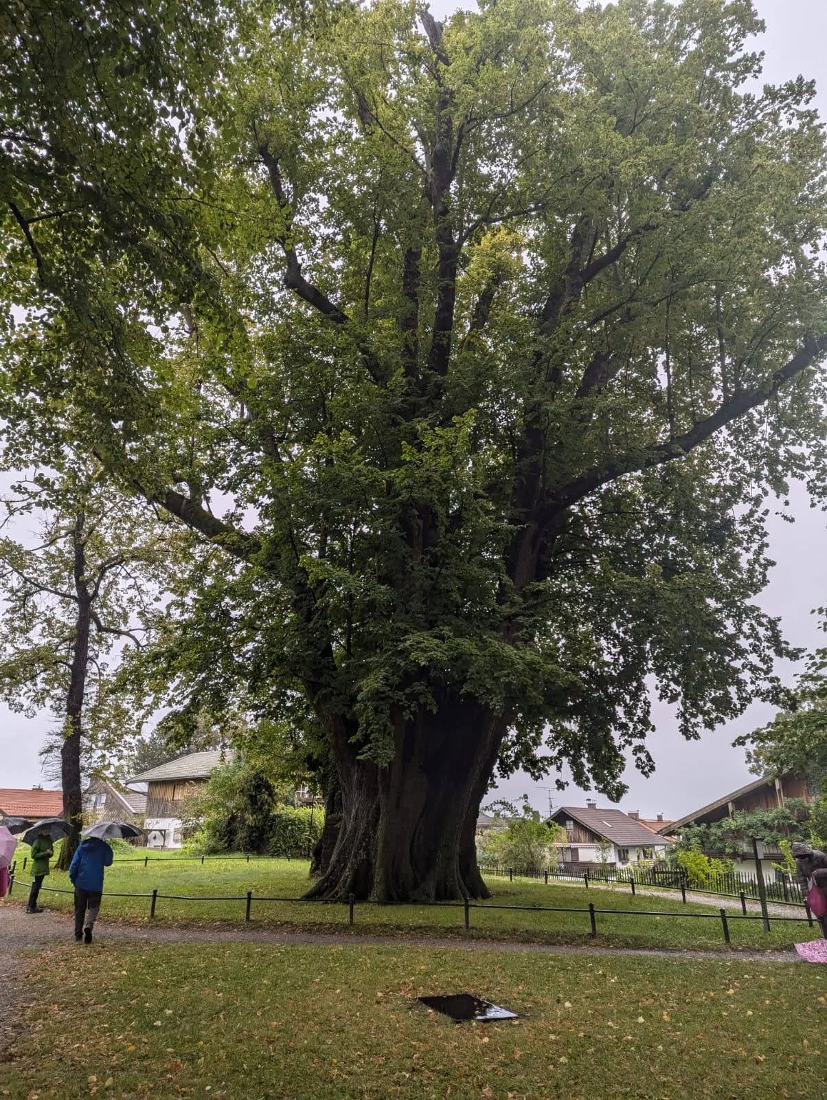 © DAV Ebingen