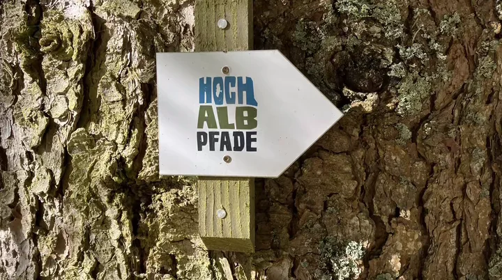 Die Bergsteigergruppe wanderte trotzt Regen am Hörnle. | © DAV Ebingen