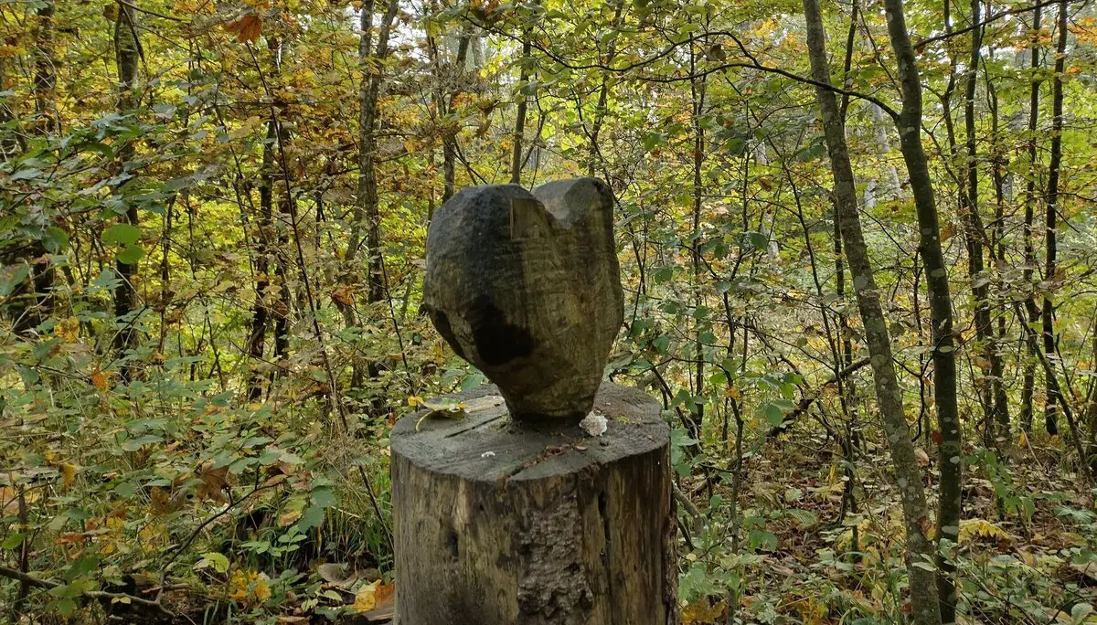 Kunst im Wald nahe des Schlossfelsens. | © DAV Ebingen