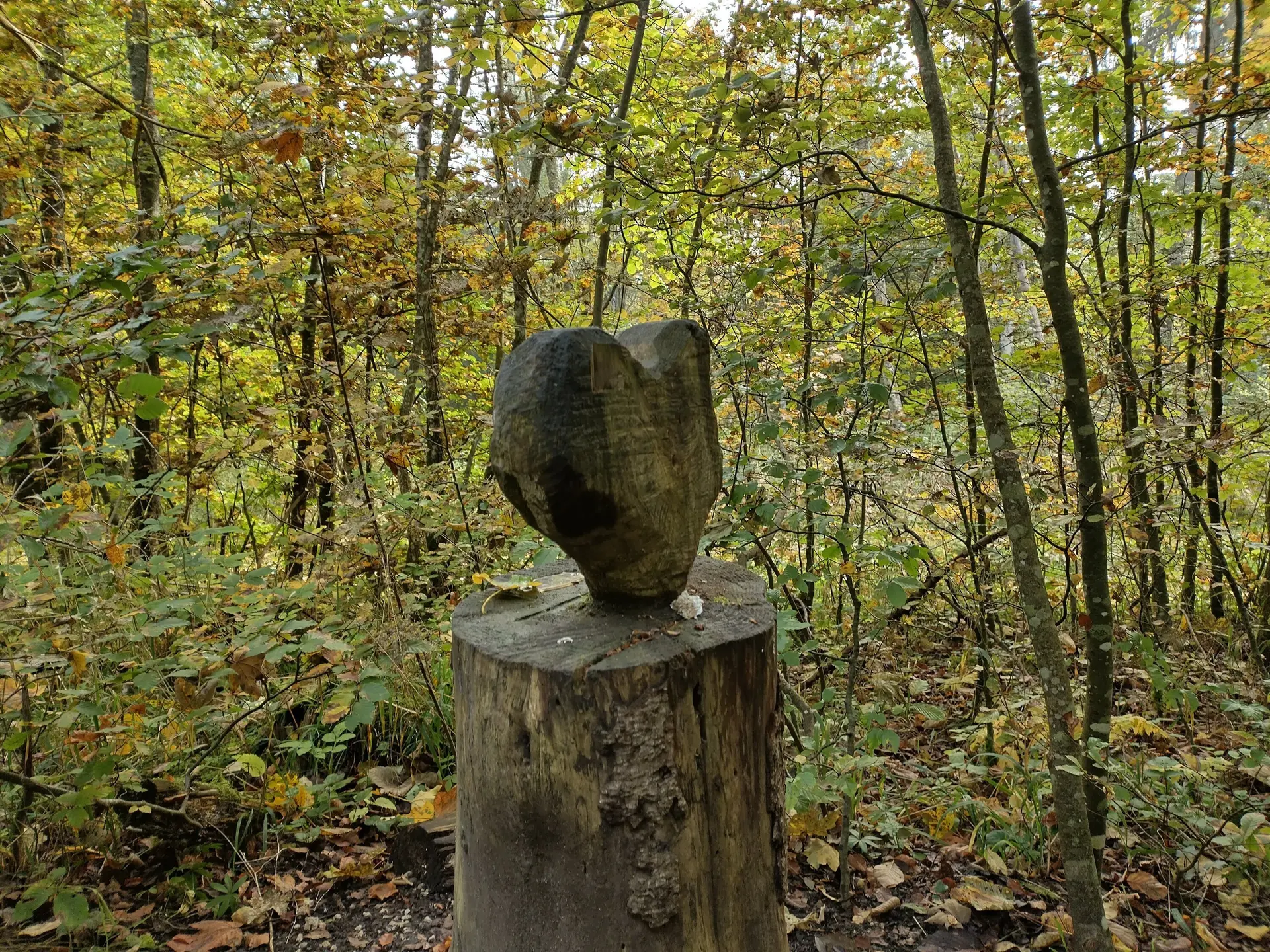 Kunst im Wald nahe des Schlossfelsens. | © DAV Ebingen