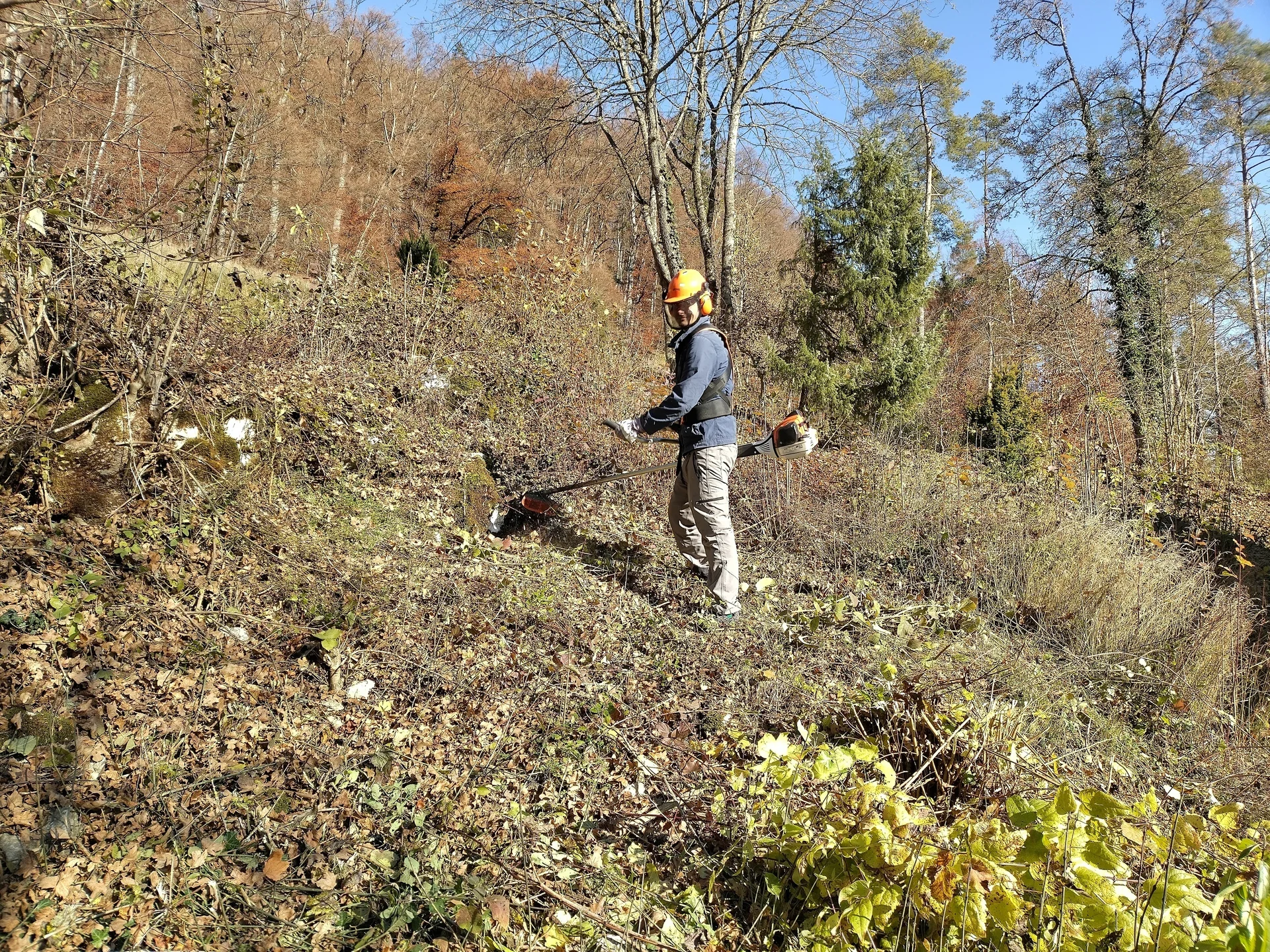 Tobias Kolbert während der Arbeit mit einem Freischneider. | © DAV Ebingen