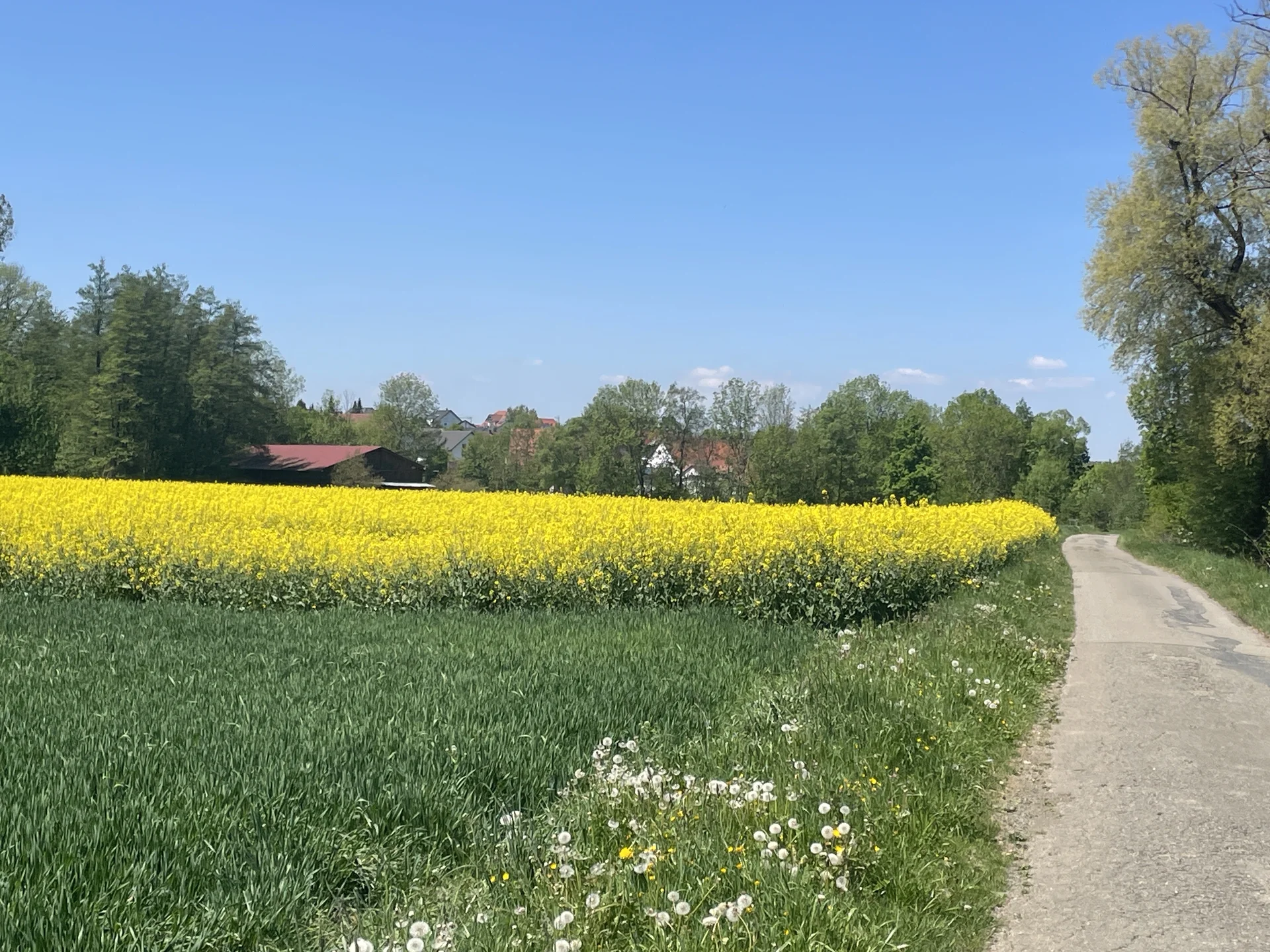 © DAV Ebingen