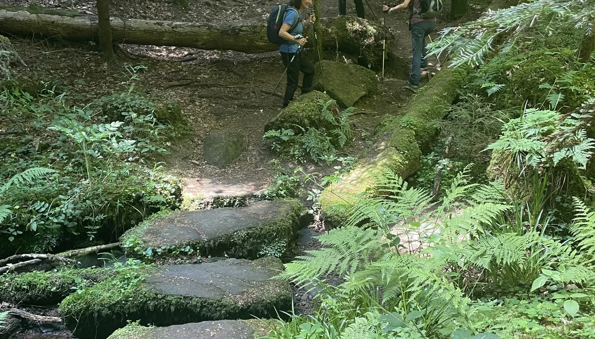 Während der Wanderung auf einem Pfad im Wald. | © DAV Ebingen