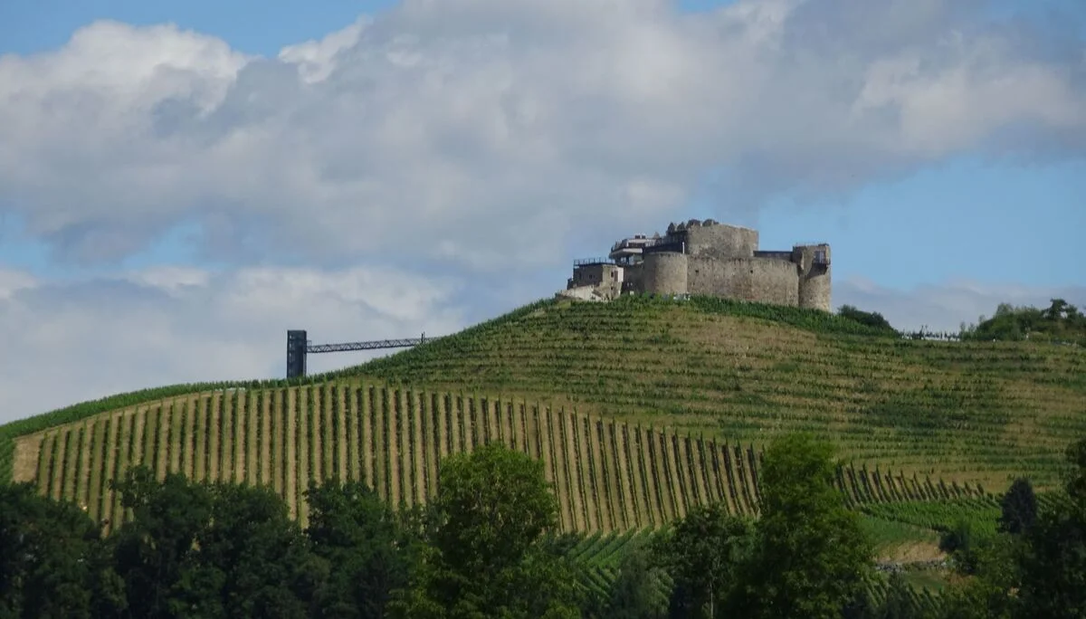 Blick auf die Burg Taggenbrunn. | © DAV Ebingen