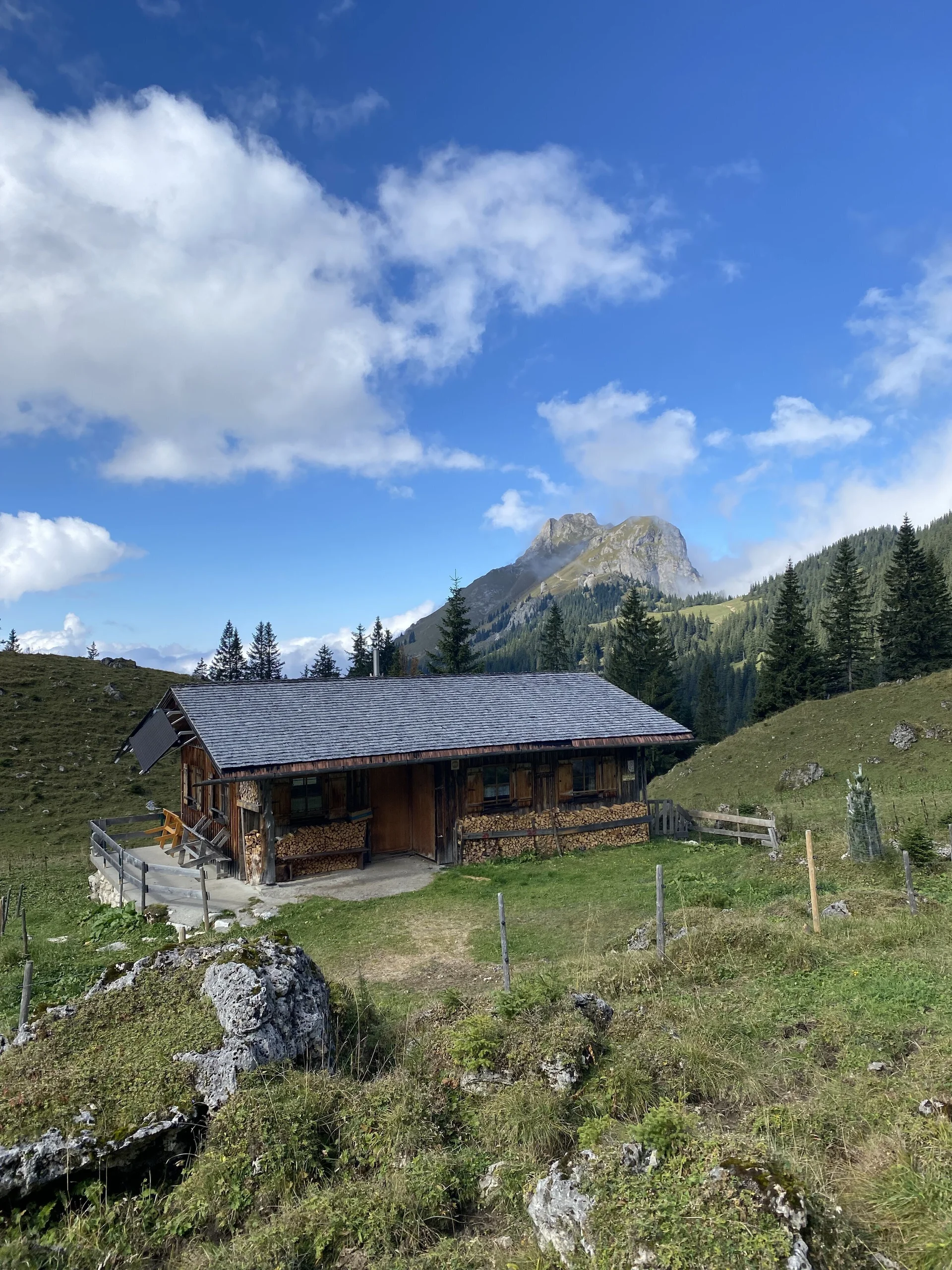 Die am Rand des Wegs gelegene Sebenalpe. | © DAV Artikel