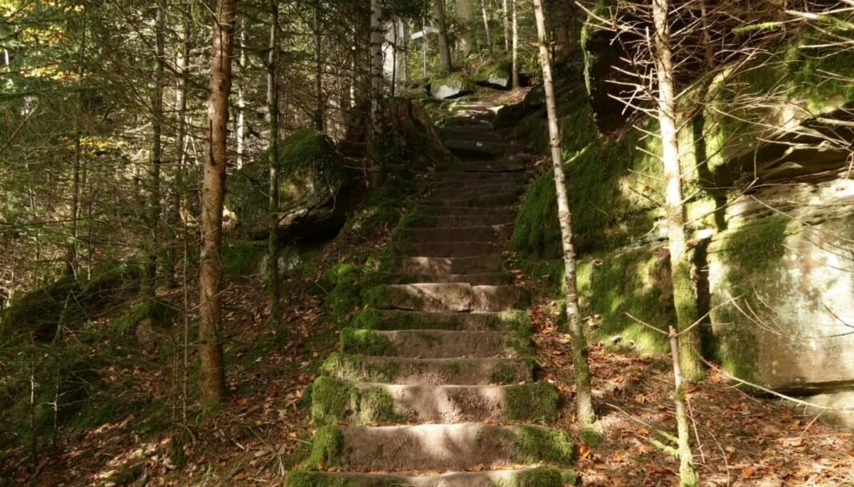 Ein Teilstück der Mathildenanlage. | © DAV Ebingen