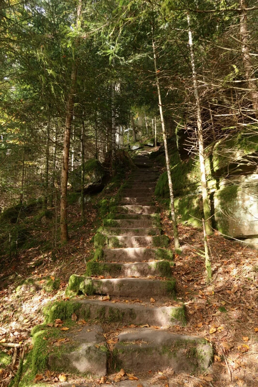 Ein Teilstück der Mathildenanlage. | © DAV Ebingen