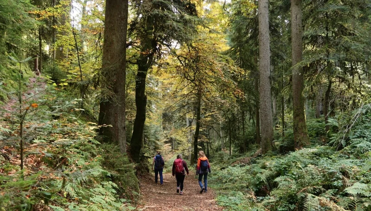 Drei Teilnehmerinnen während der Wanderung. | © DAV Ebingen
