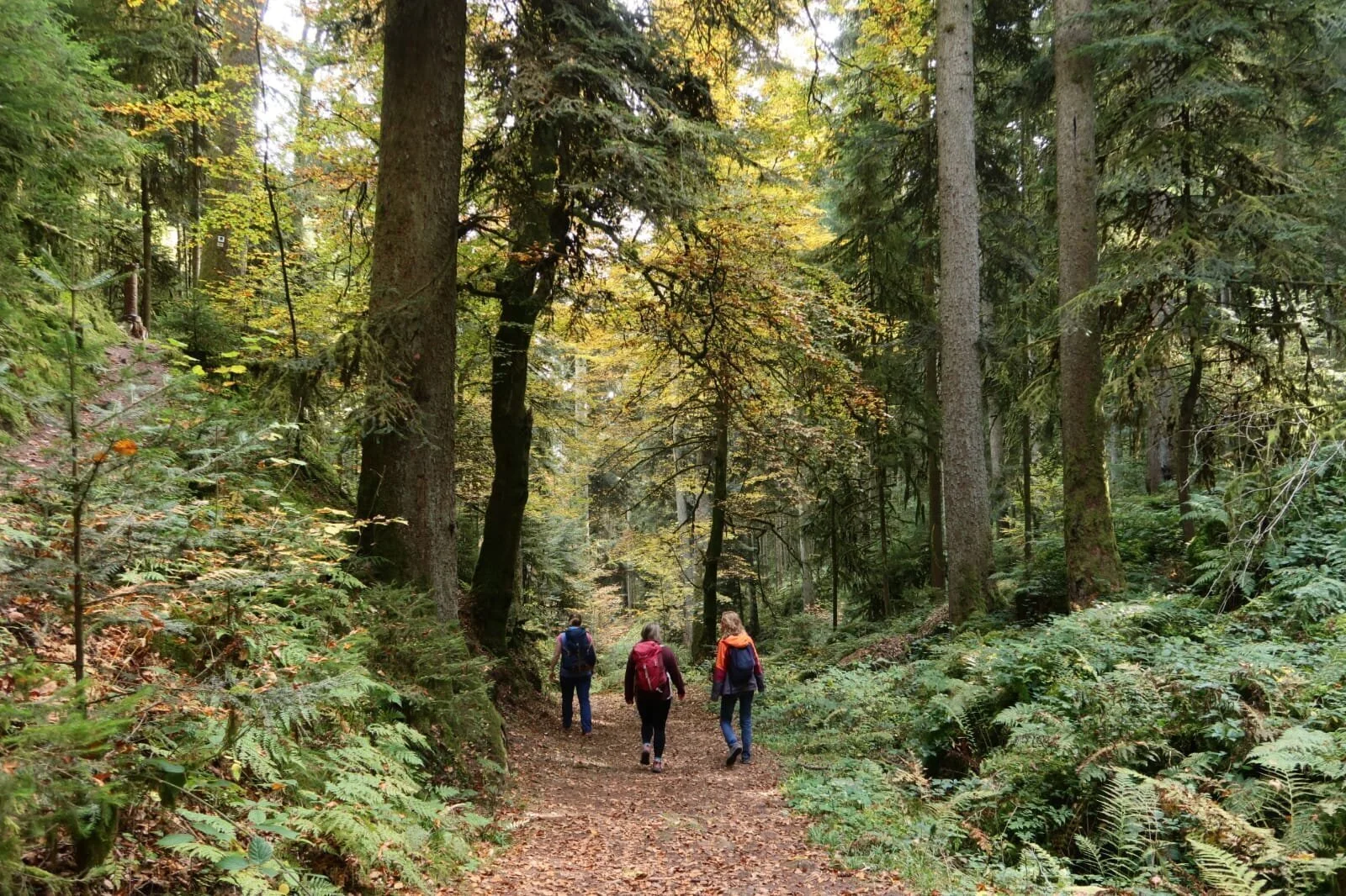 Drei Teilnehmerinnen während der Wanderung. | © DAV Ebingen