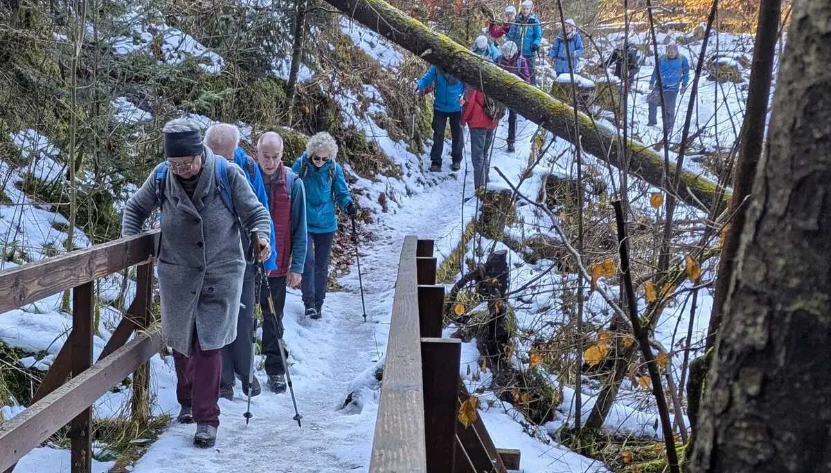 Die Gruppe während der Wanderung. | © DAV Ebingen