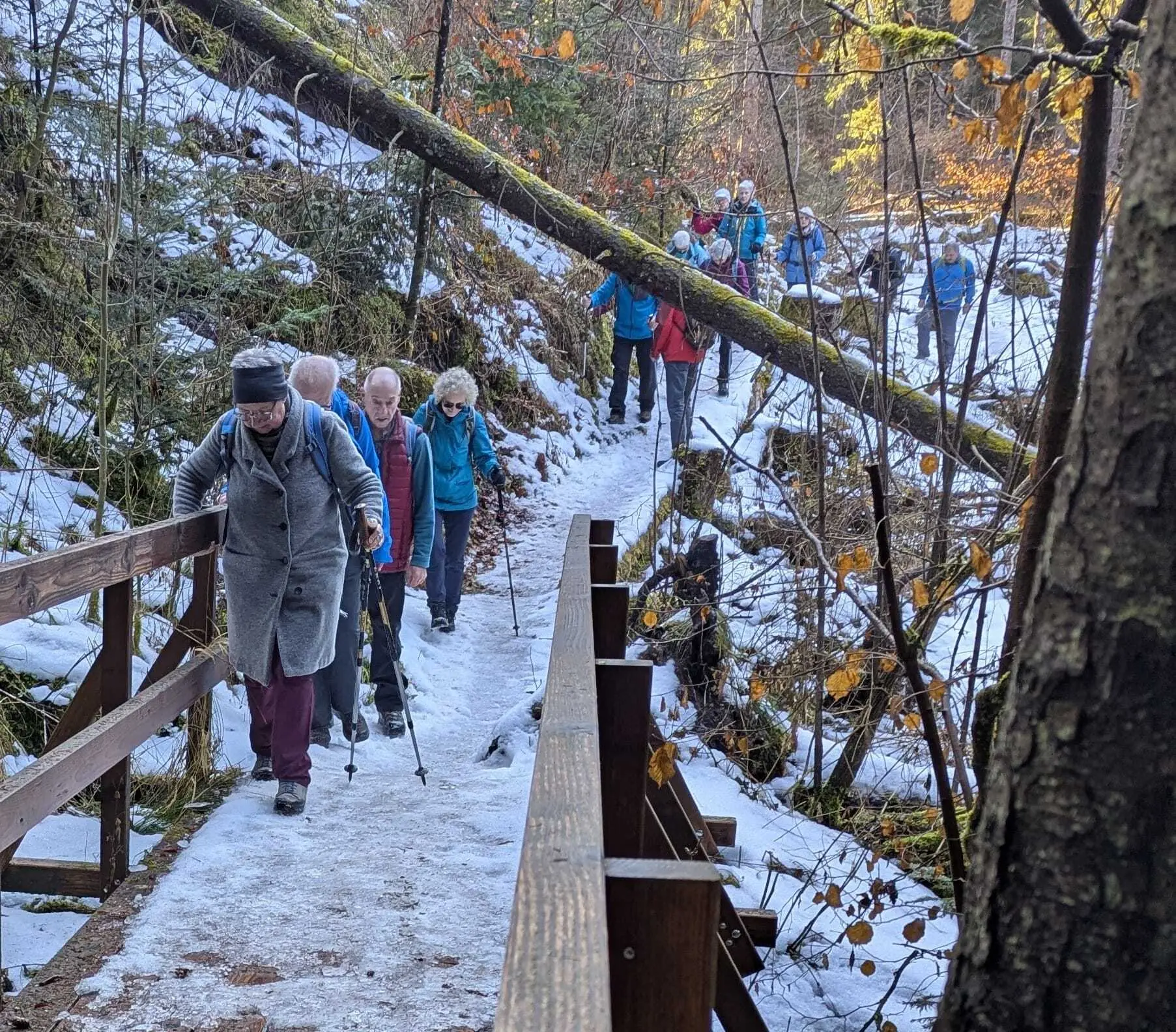 Die Gruppe während der Wanderung. | © DAV Ebingen