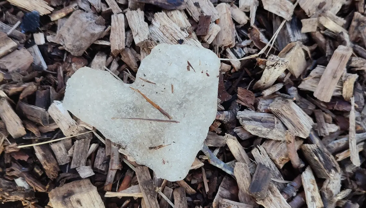 Ein selbstgemachtes Natur-Kunstwerk. | © DAV Ebingen