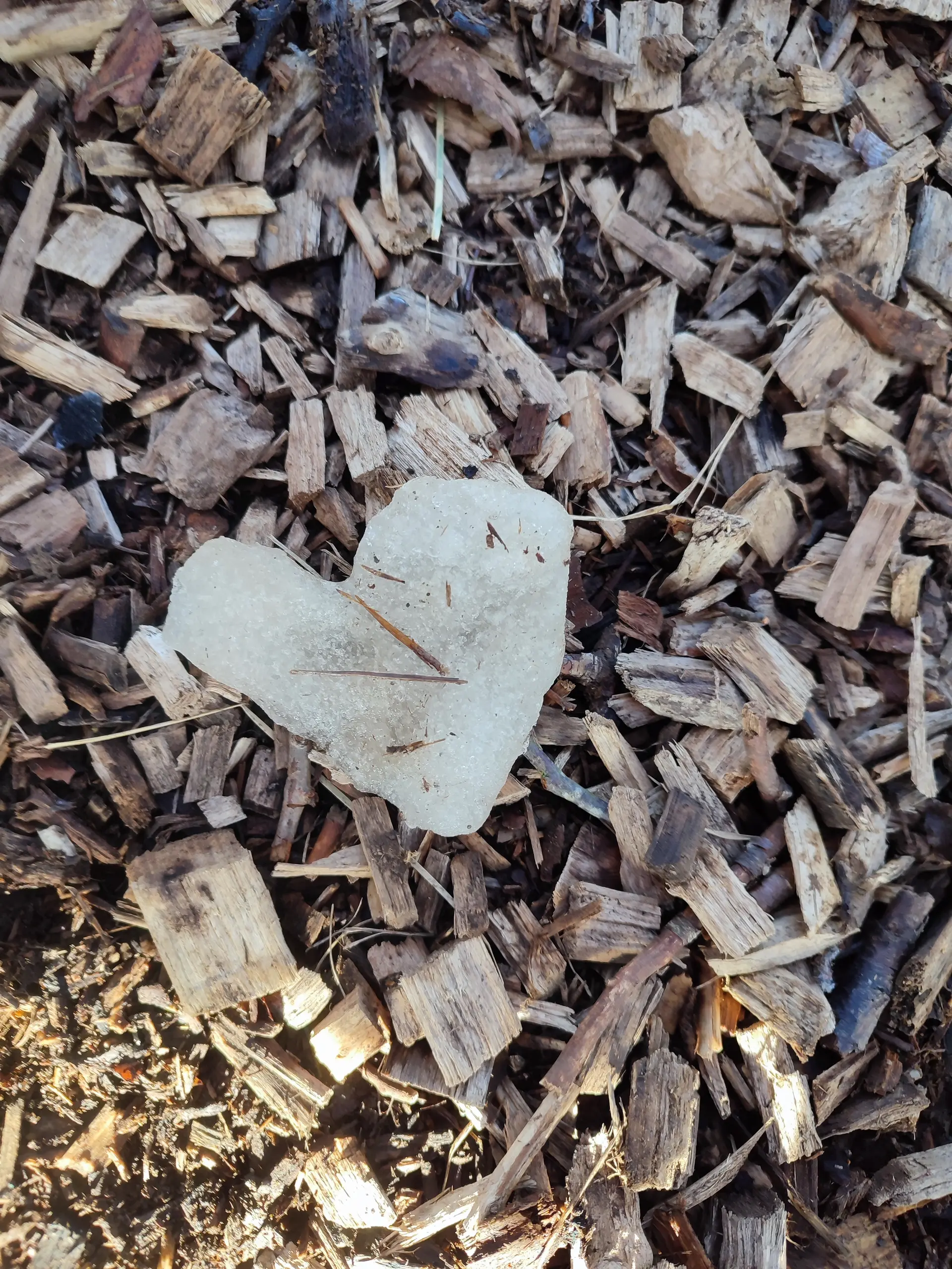 Ein selbstgemachtes Natur-Kunstwerk. | © DAV Ebingen