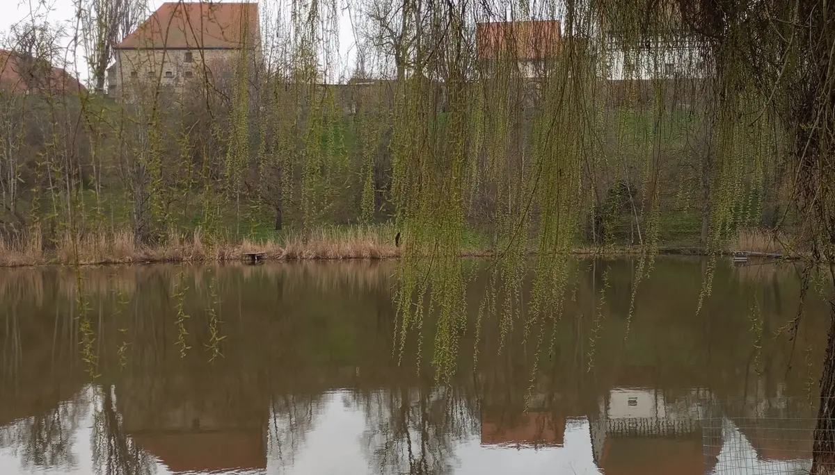 Ein Ausblick auf Kloster Kirchberg. | © DAV Ebingen