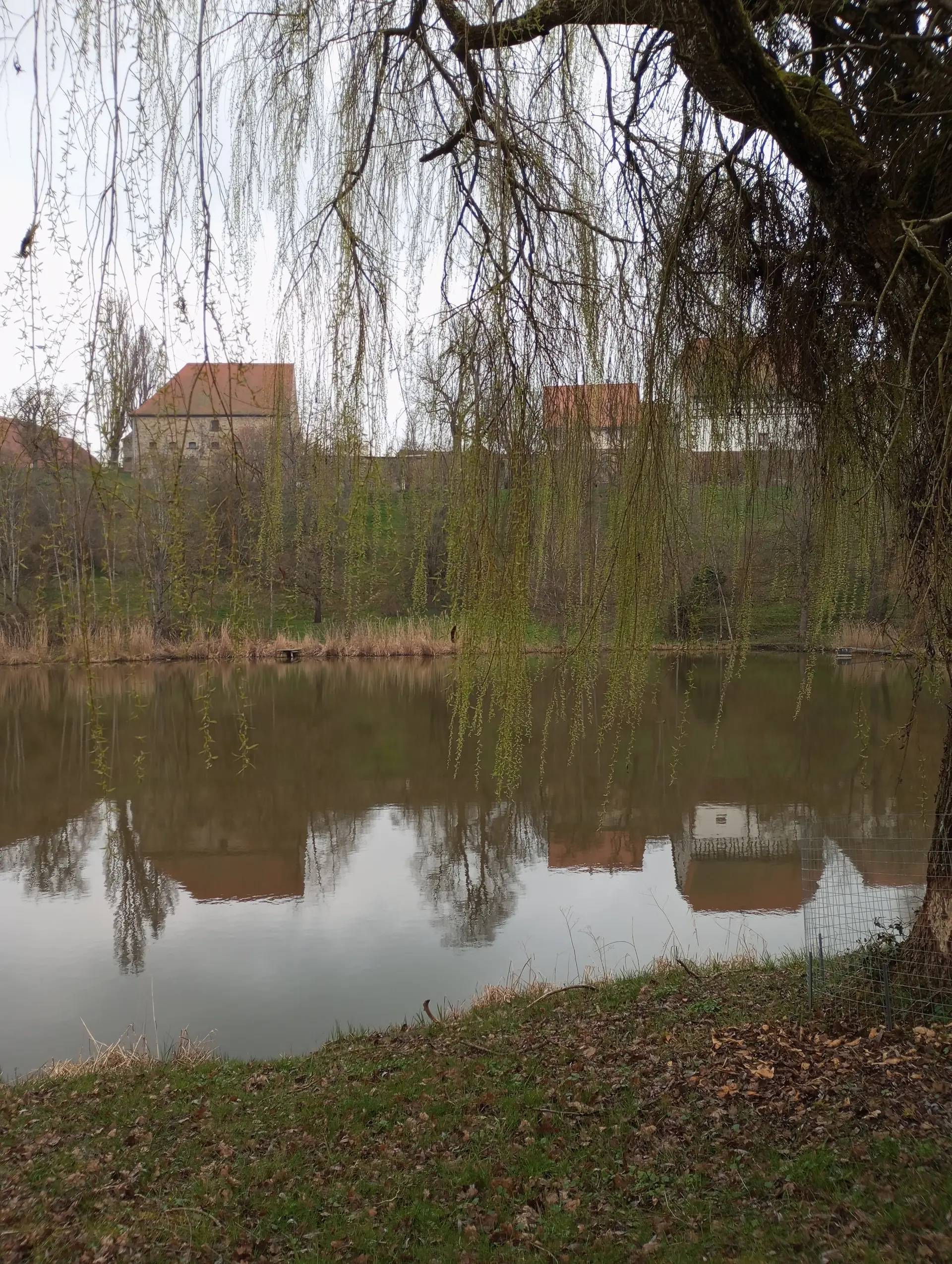 Ein Ausblick auf Kloster Kirchberg. | © DAV Ebingen