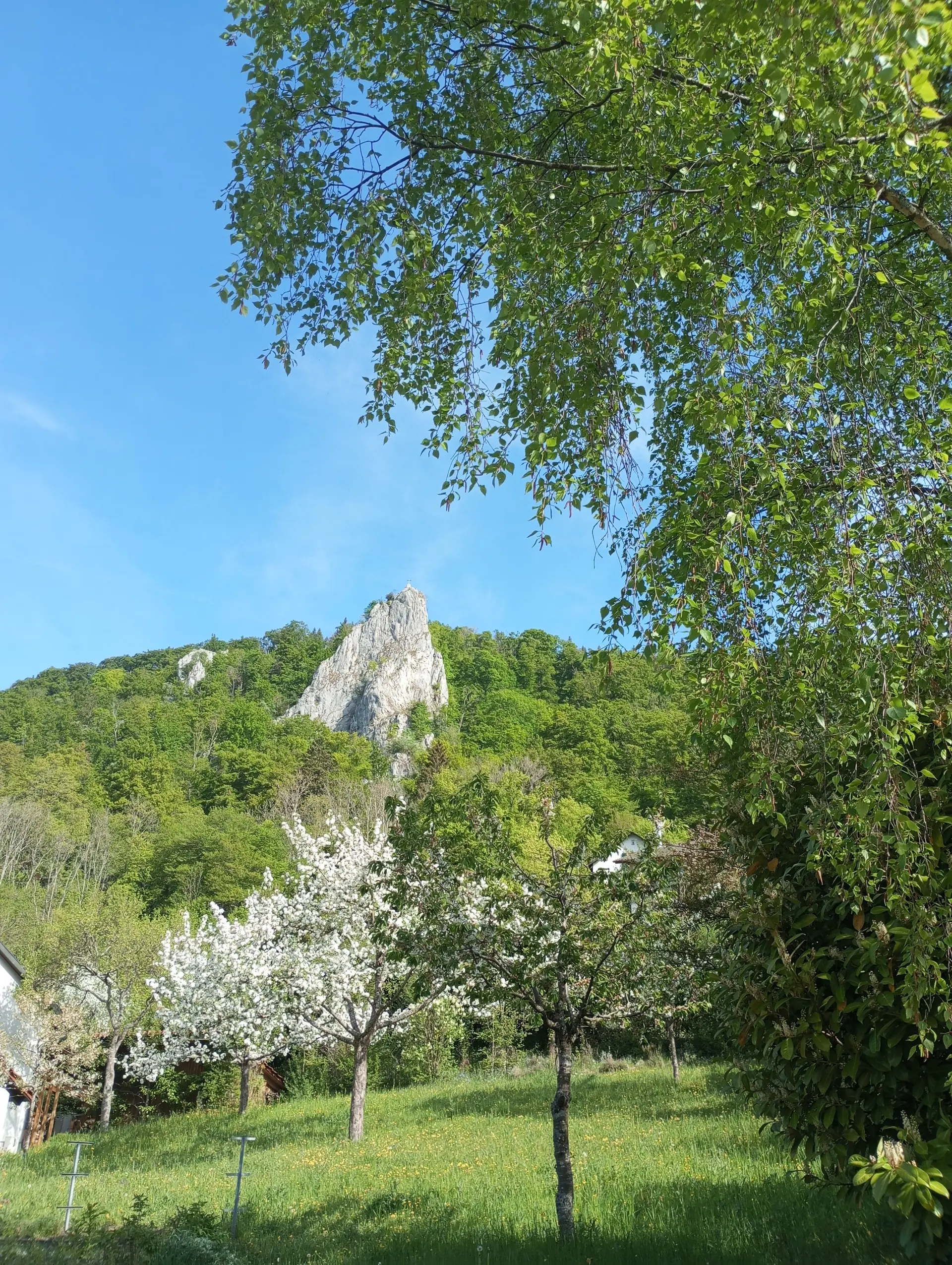 Ein Ausblick während der Tour. | © DAV Ebingen