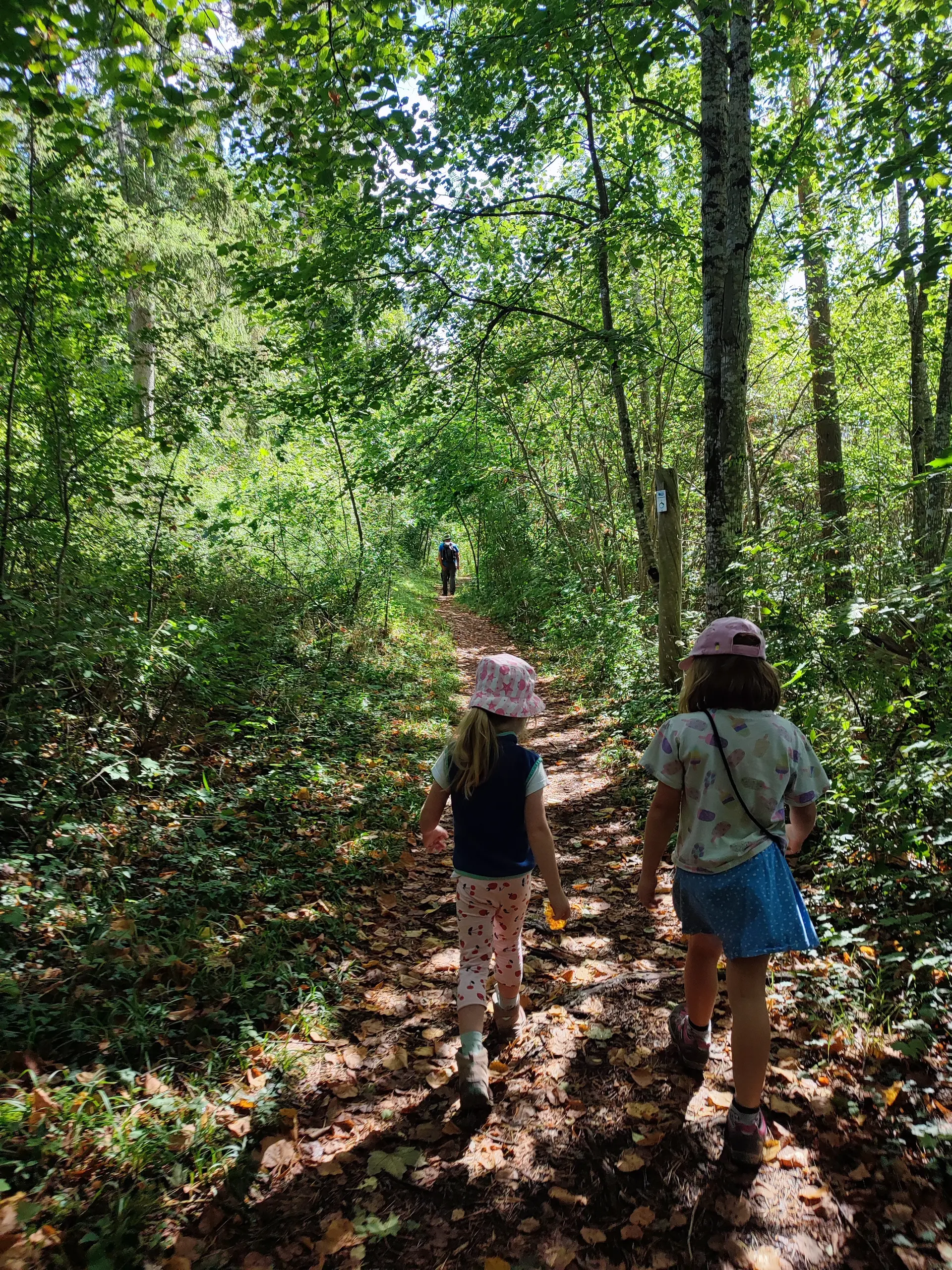 Wiederum Teilnehmer während der Wanderung. | © DAV Ebingen