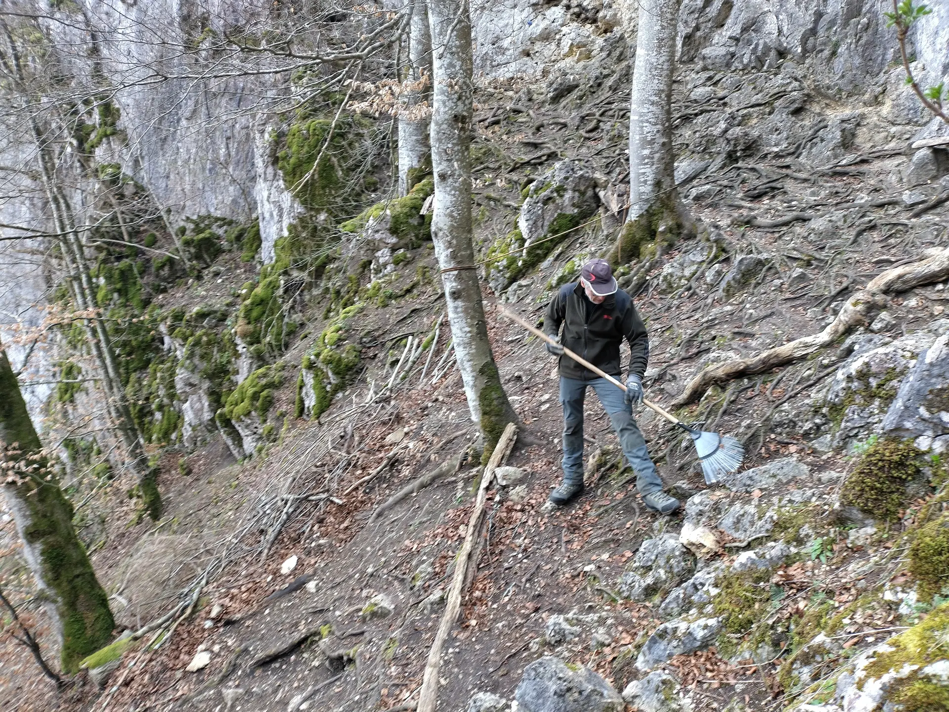 Die Wege zum Stuhlfelsen wurden von Herbstlaub befreit. | © DAV Ebingen