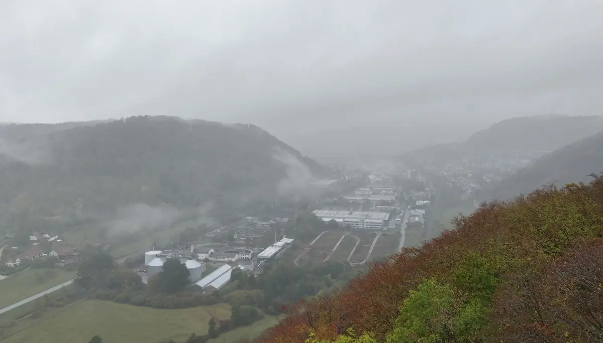 Nebel und Regen erschwerten die Arbeiten während des Landschaftspflegetages. | © DAV Ebingen