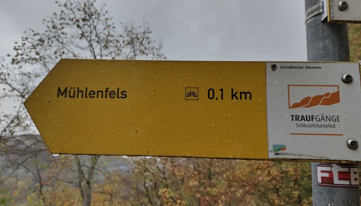 Regenschauer begleiteten uns während der Arbeit. | © DAV Ebingen