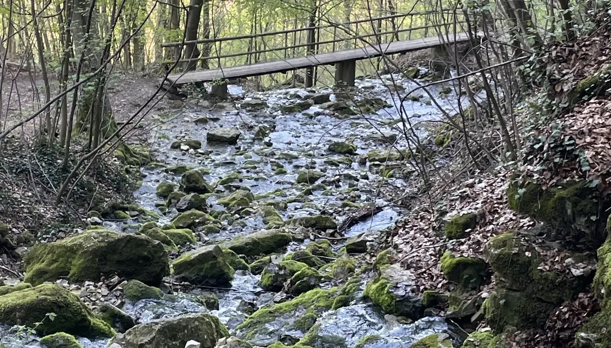 Eine Brücke auf dem Wanderweg. | © DAV Ebingen