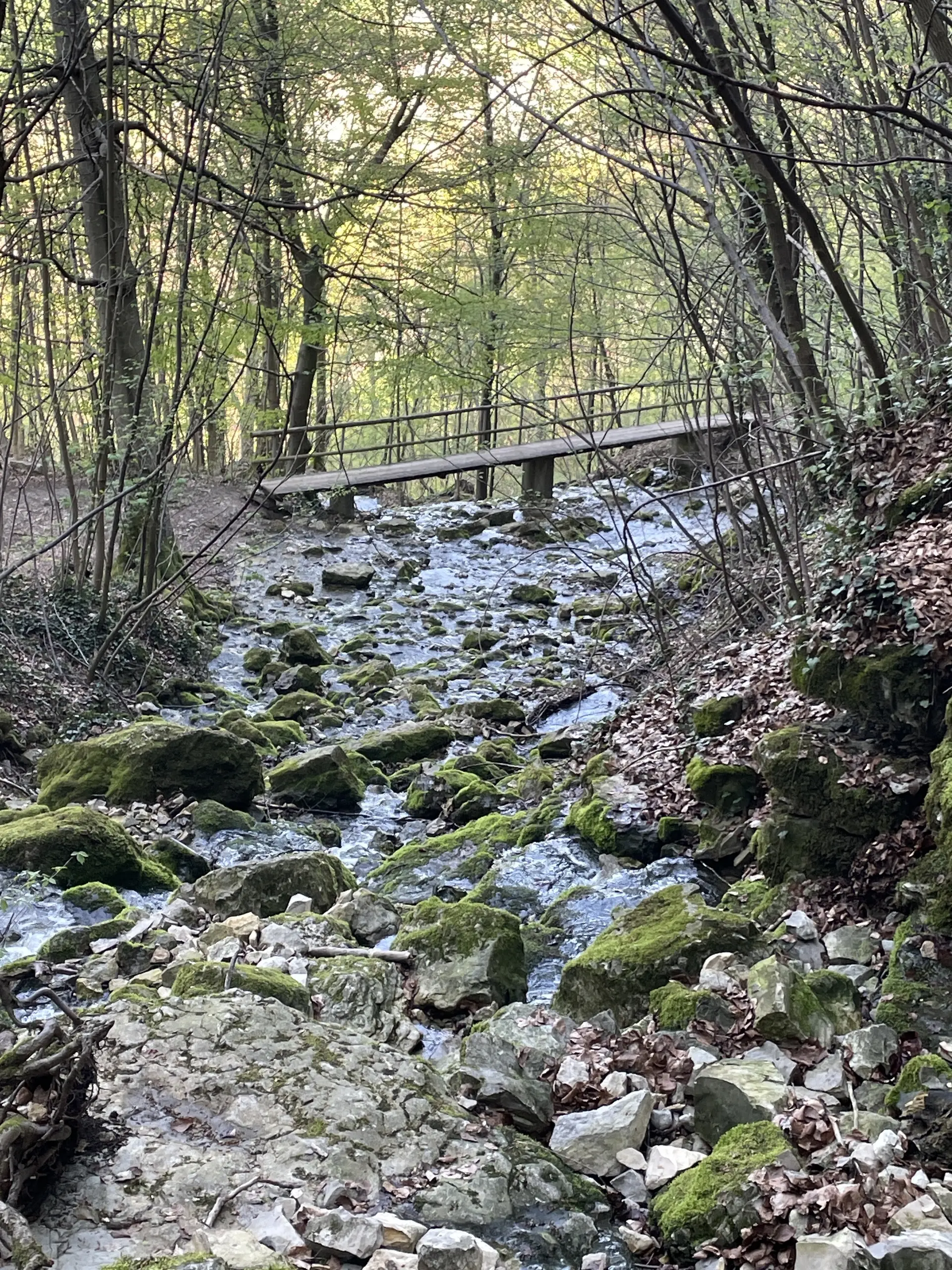 Eine Brücke auf dem Wanderweg. | © DAV Ebingen