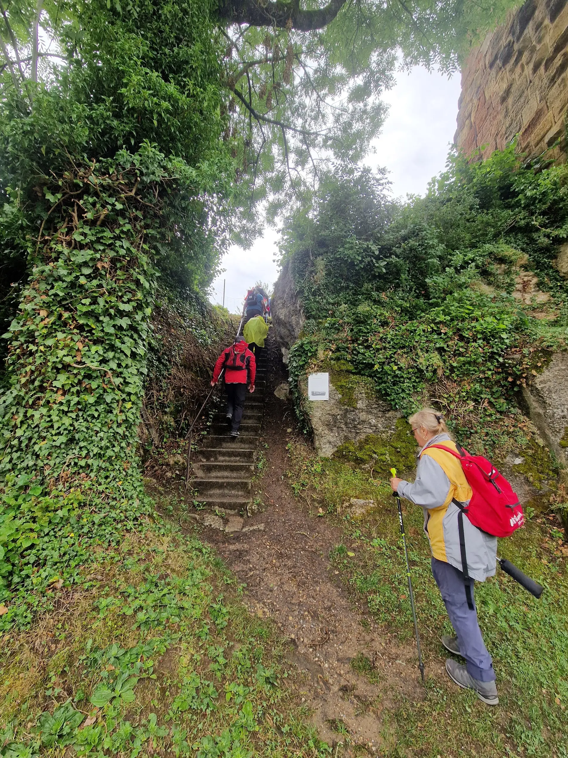 Einige der Senioren während der Wanderung. | © DAV Ebingen