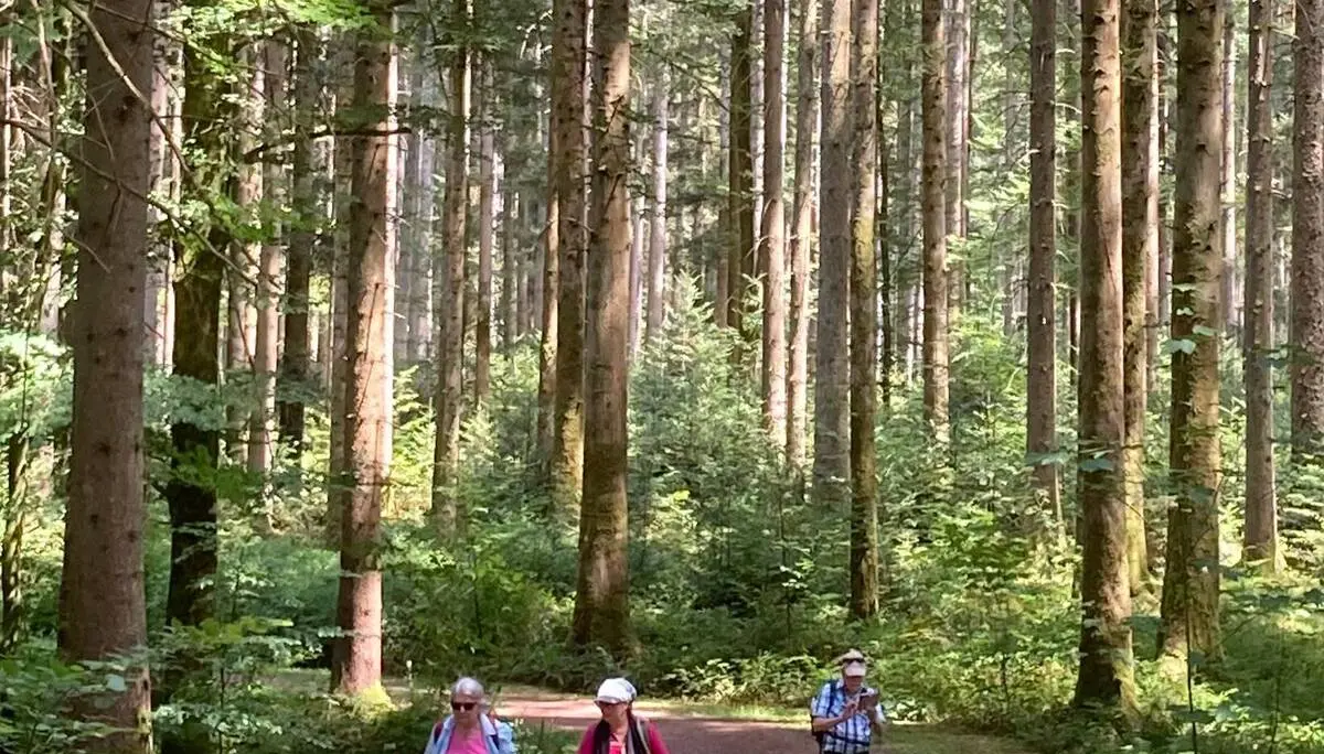 Teilnehmer während der Tour. | © DAV Ebingen