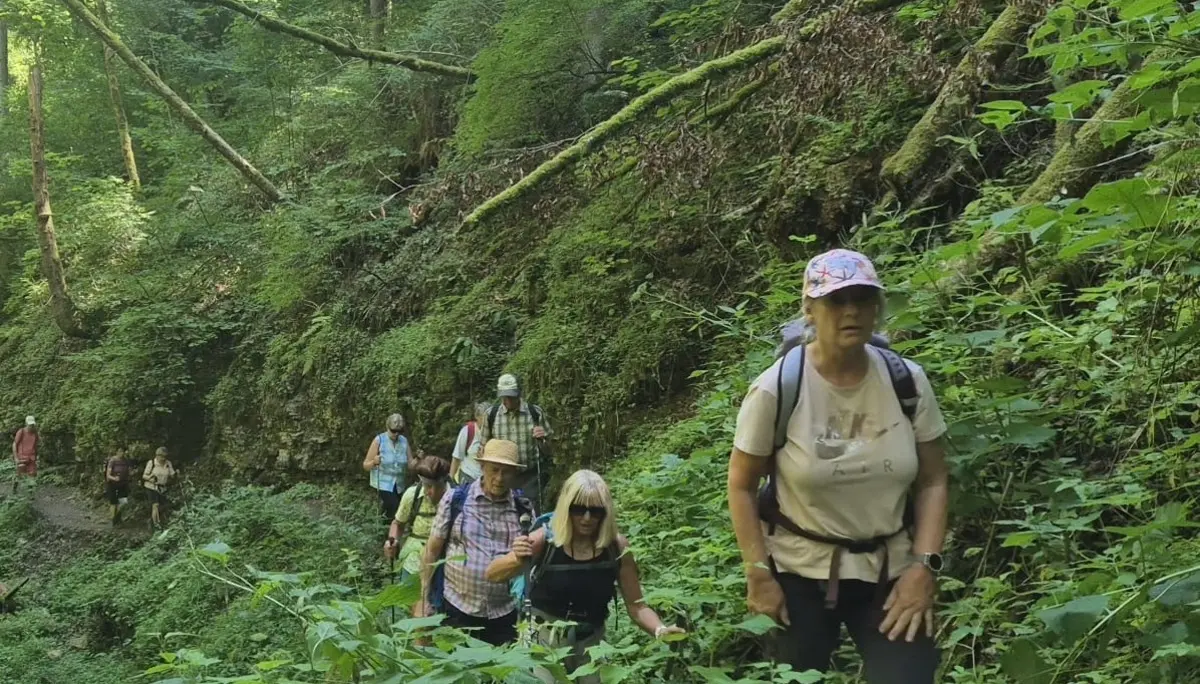 Einige Teilnehmer während der Wanderung. | © DAV Ebingen
