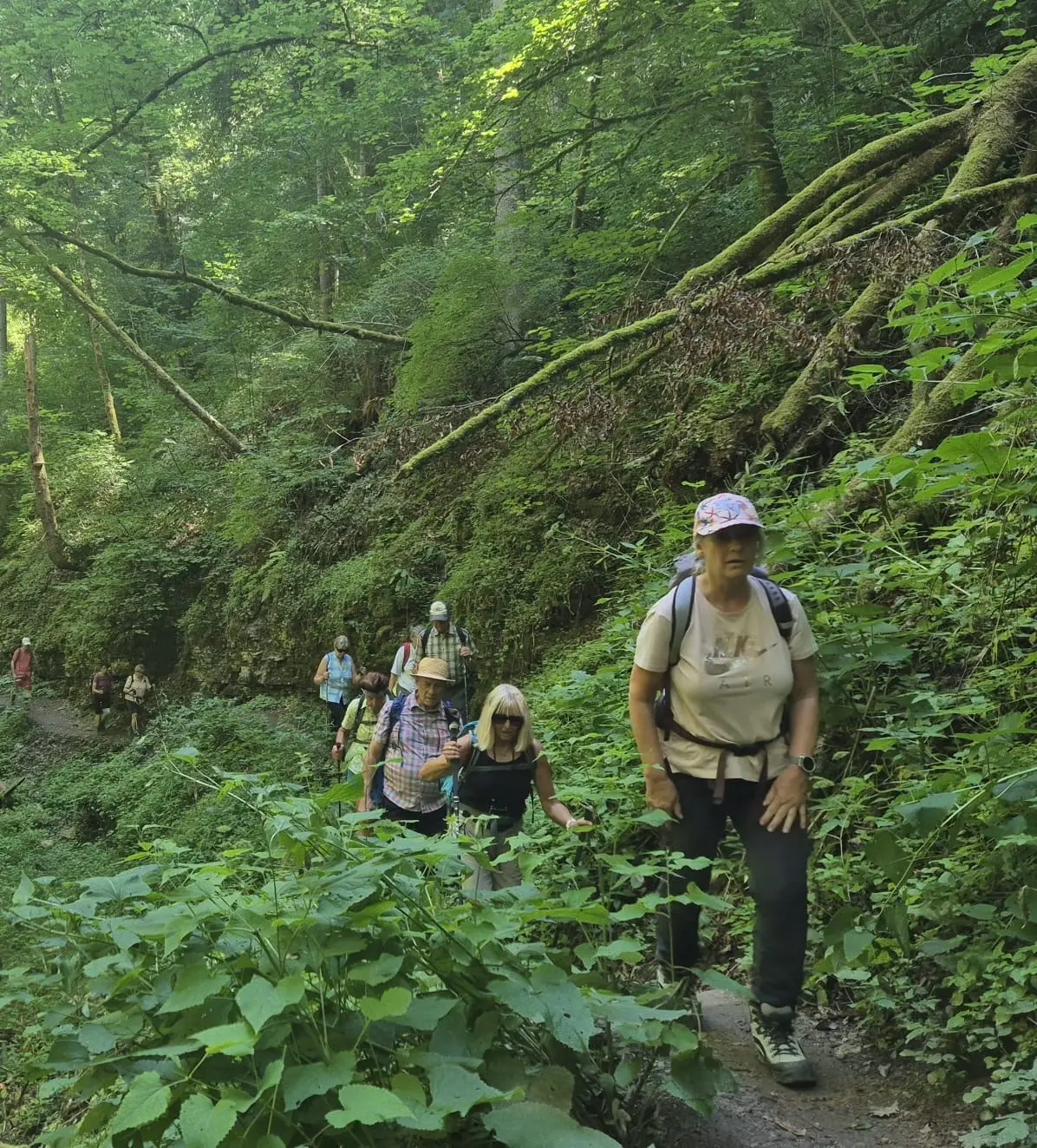 Einige Teilnehmer während der Wanderung. | © DAV Ebingen