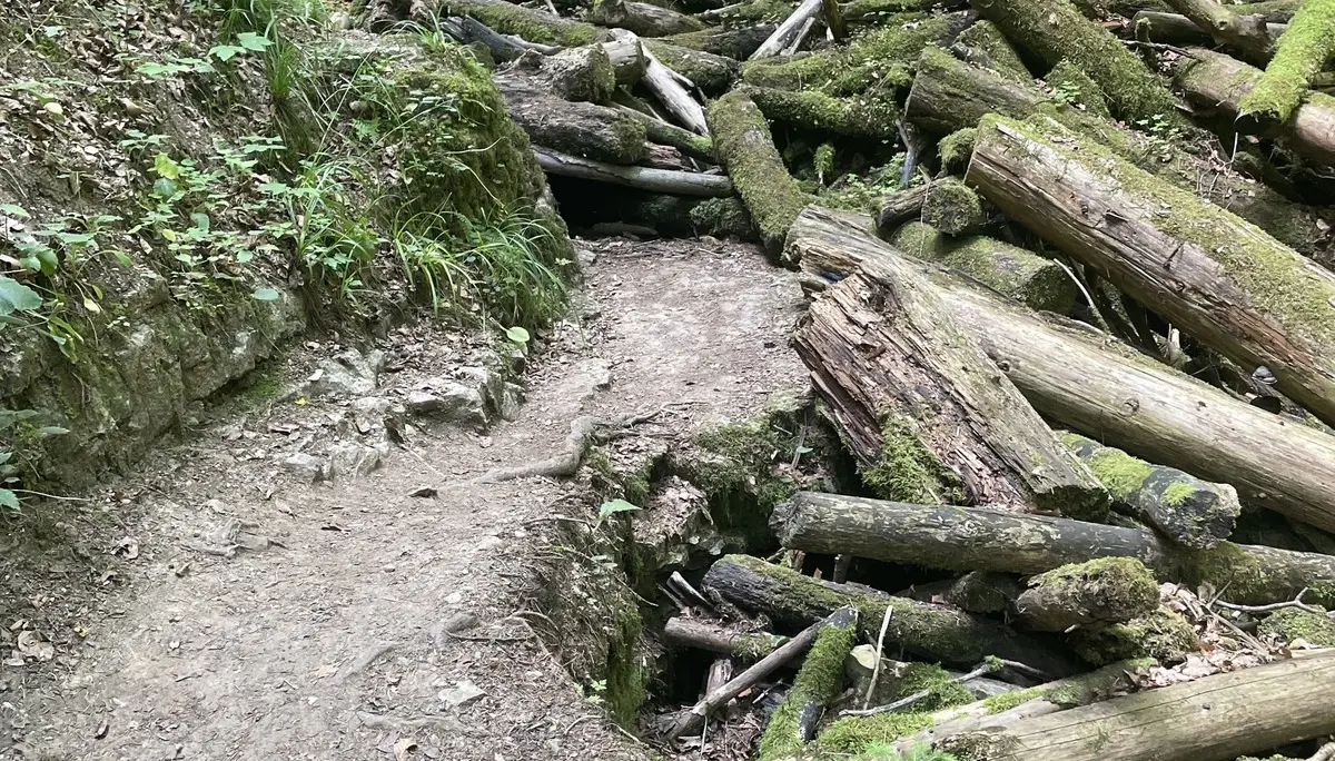 Eine Aufnahme entlang der Strecke. | © DAV Ebingen