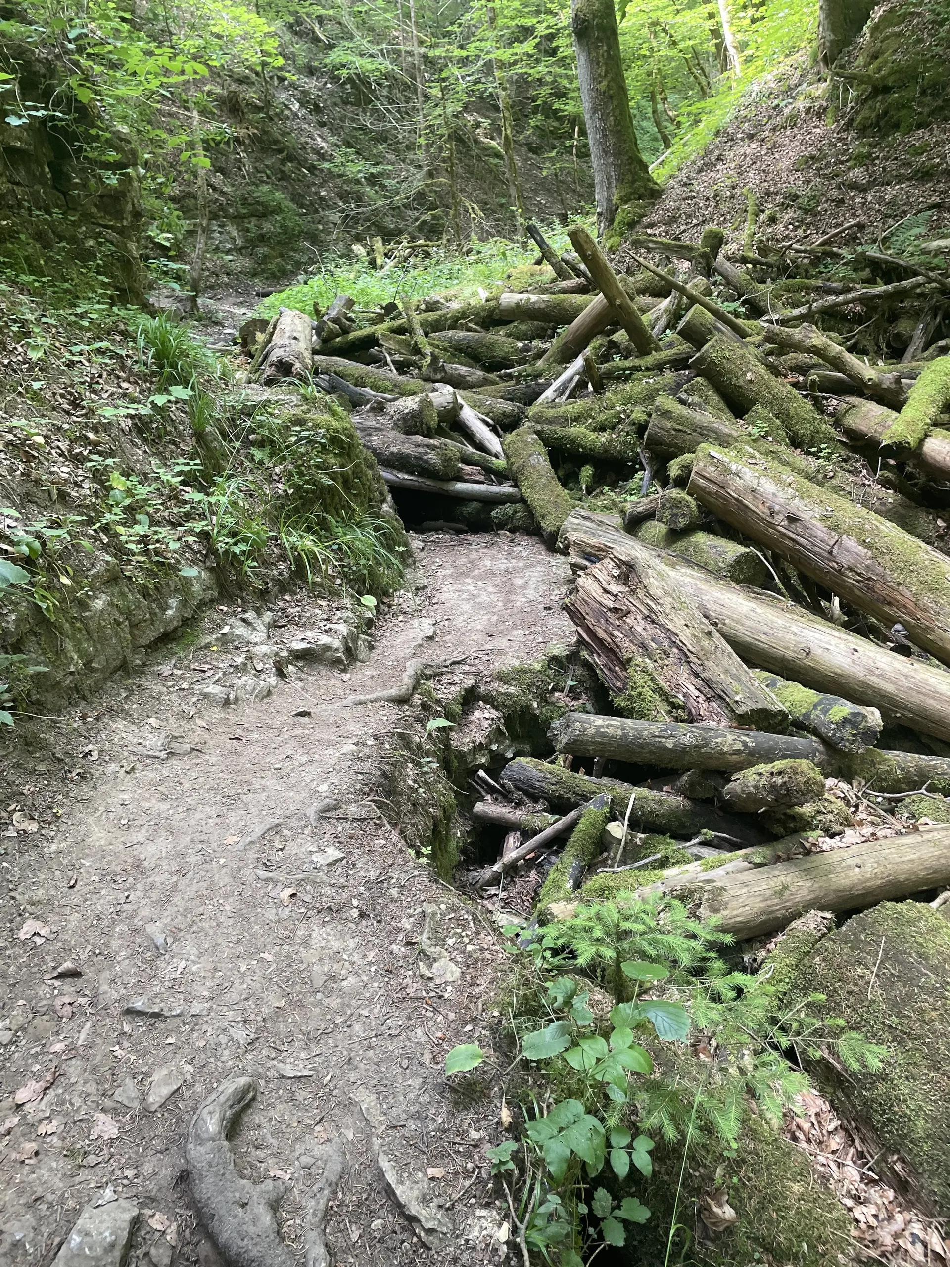 Eine Aufnahme entlang der Strecke. | © DAV Ebingen