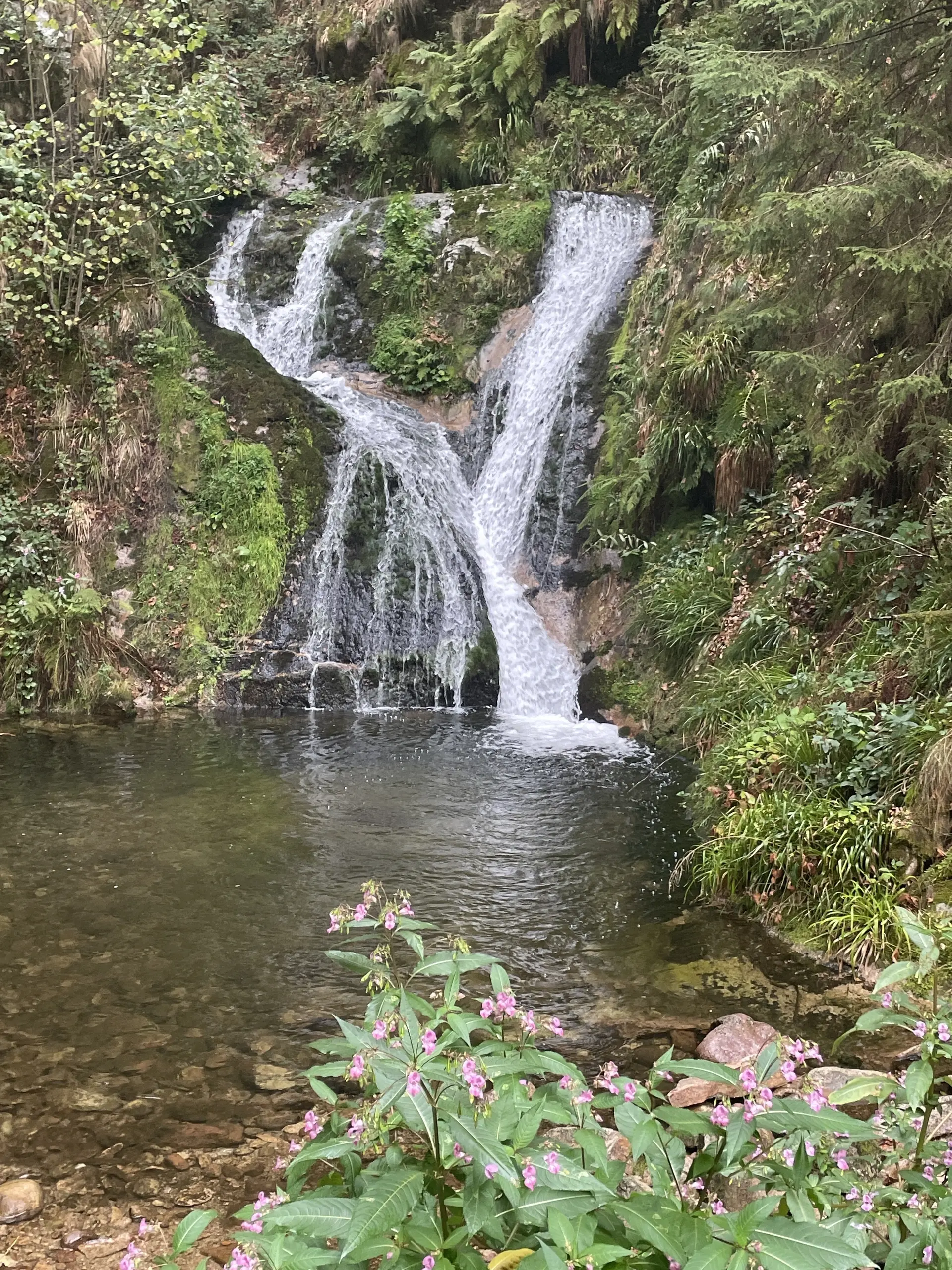 Die Allerheiligen-Wasserfälle. | © DAV Ebingen