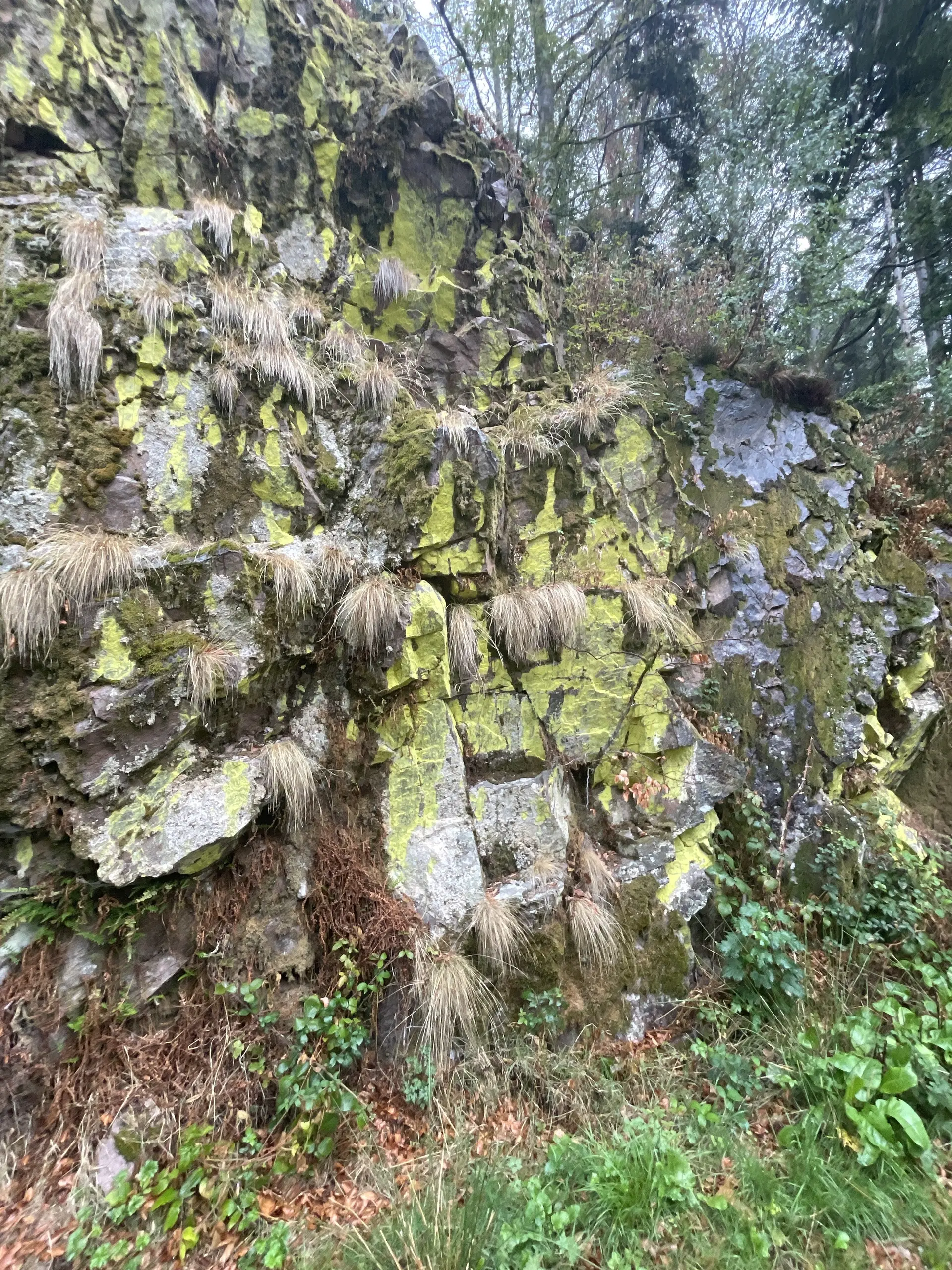 Eine Aufnahme entlang der Strecke. | © DAV Ebingen