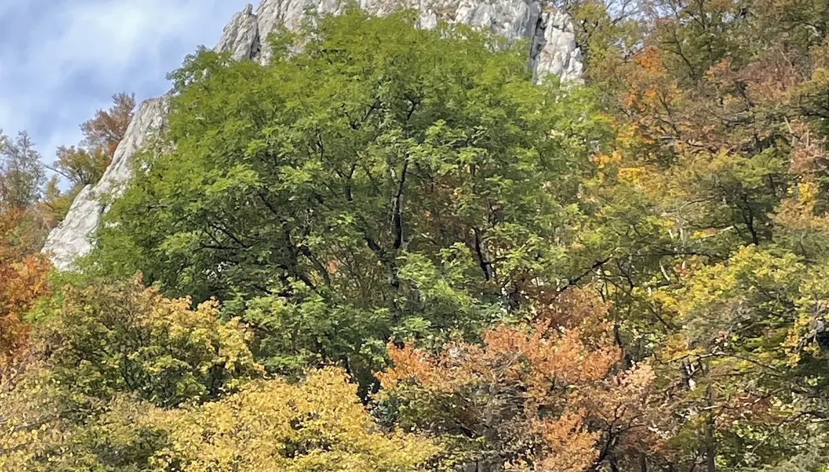 Der Stuhlfels im Herbst. | © DAV Ebingen