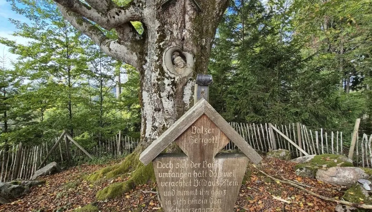 Der Balzer Herrgott im Schwarzwald bei Gütenbach. | © DAV Ebingen