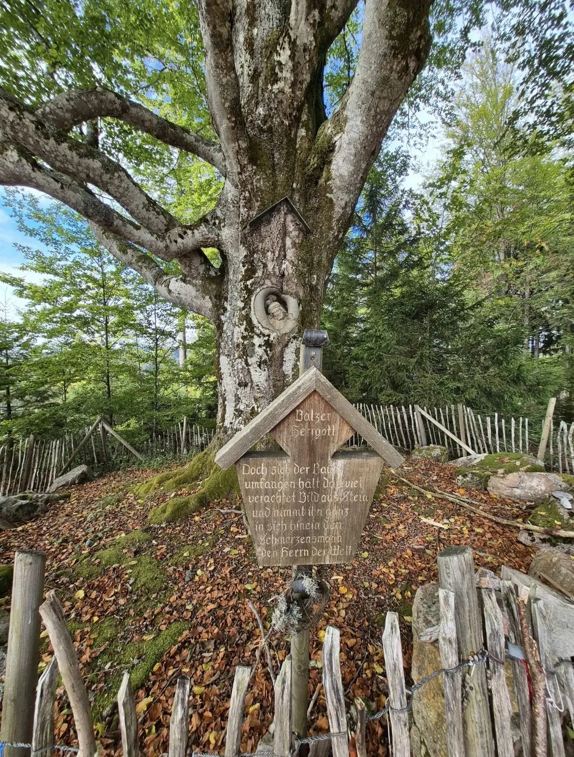 Der Balzer Herrgott im Schwarzwald bei Gütenbach. | © DAV Ebingen