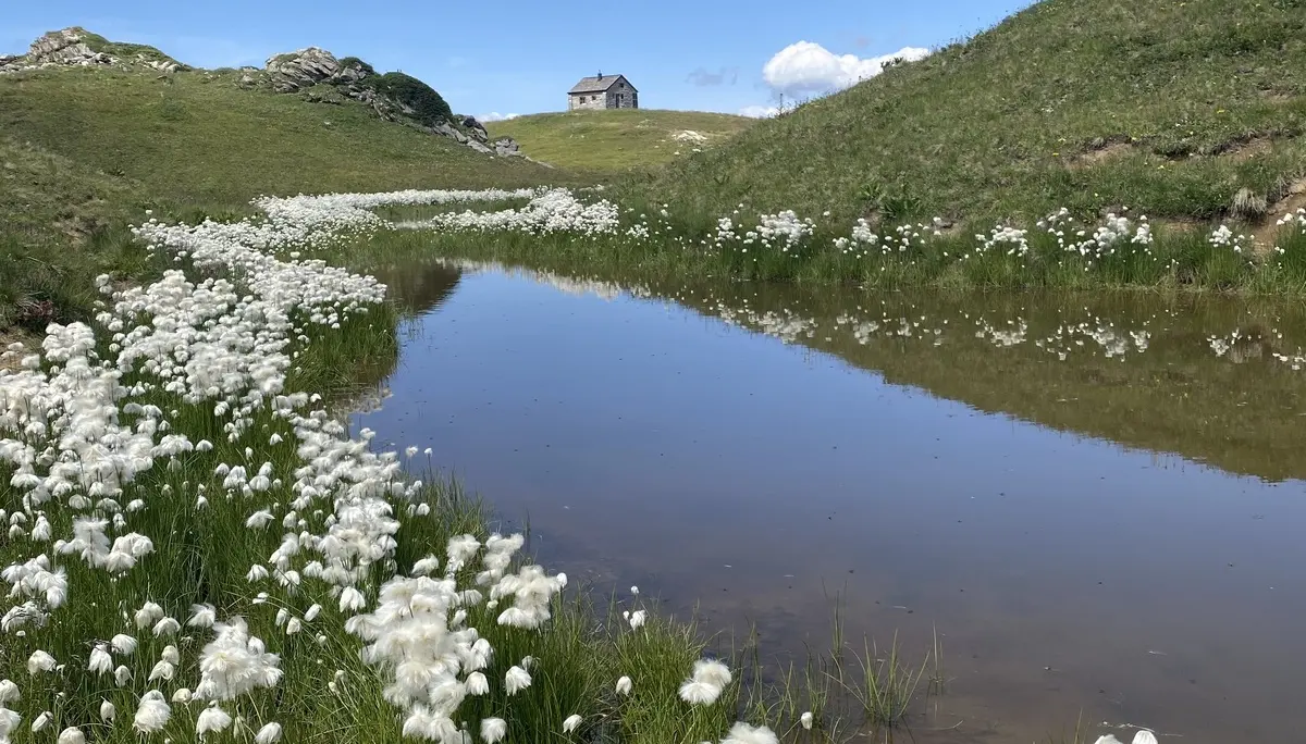 Die Landschaft entlang der Route. | © DAV Ebingen