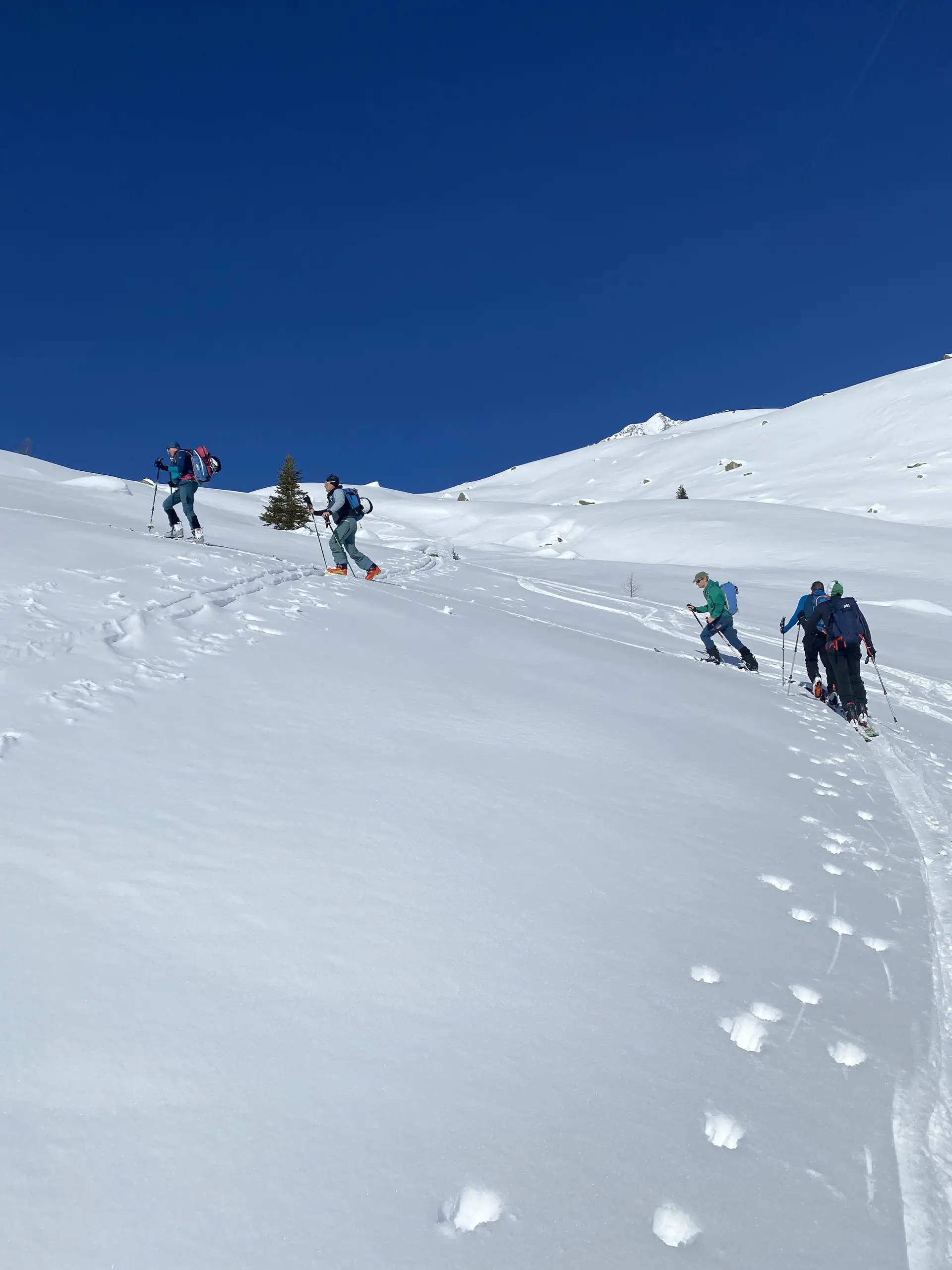 Die Gruppe in einem Anstieg. | © DAV Ebingen