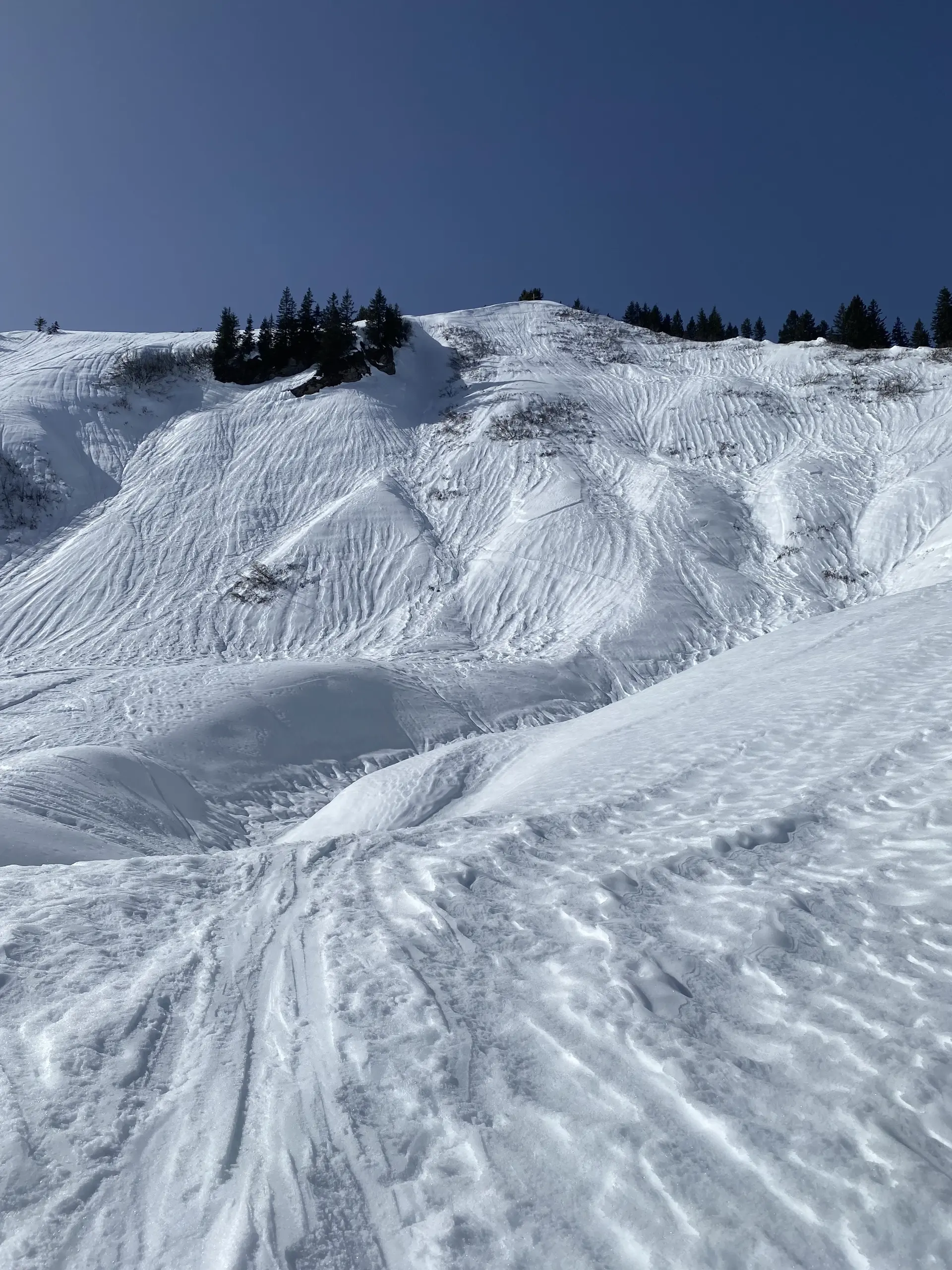 Eine Panorama Aufnahme. | © DAV Ebingen